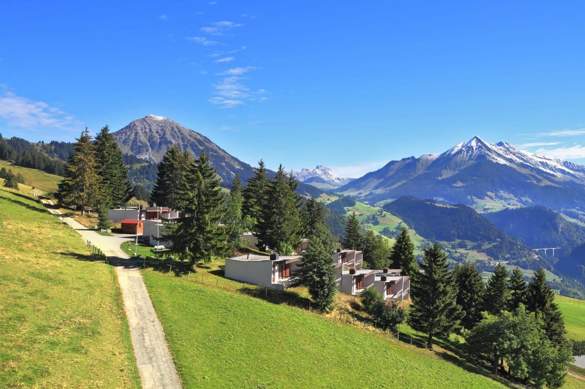 Leysin Lodge エクステリア 写真